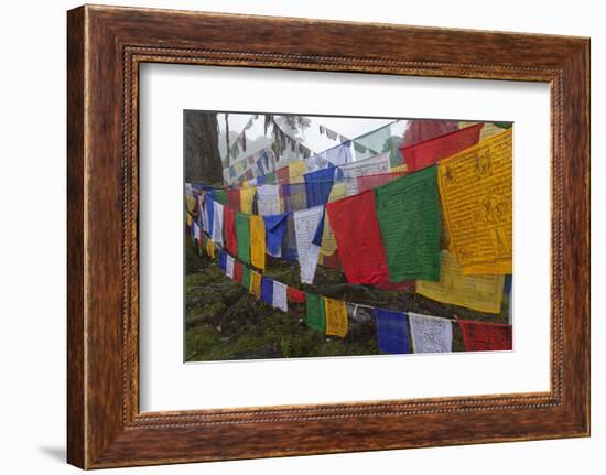 Bhutan. Prayer Flags at the Top of Dochula, a Mountain Pass-Brenda Tharp-Framed Photographic Print