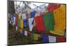 Bhutan. Prayer Flags at the Top of Dochula, a Mountain Pass-Brenda Tharp-Mounted Photographic Print