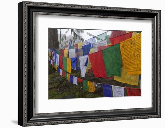 Bhutan. Prayer Flags at the Top of Dochula, a Mountain Pass-Brenda Tharp-Framed Photographic Print