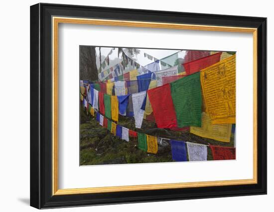 Bhutan. Prayer Flags at the Top of Dochula, a Mountain Pass-Brenda Tharp-Framed Photographic Print