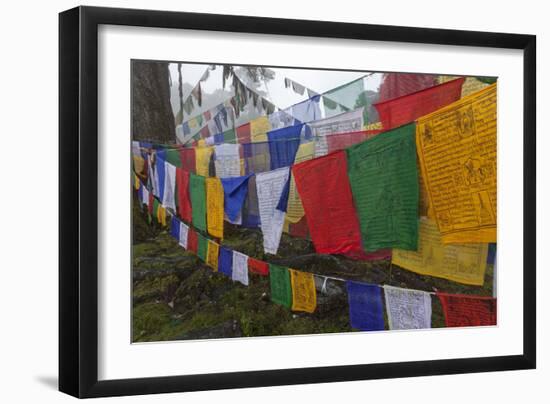 Bhutan. Prayer Flags at the Top of Dochula, a Mountain Pass-Brenda Tharp-Framed Photographic Print