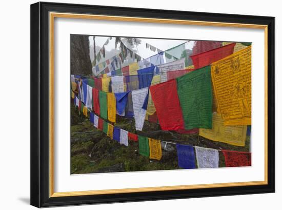 Bhutan. Prayer Flags at the Top of Dochula, a Mountain Pass-Brenda Tharp-Framed Photographic Print