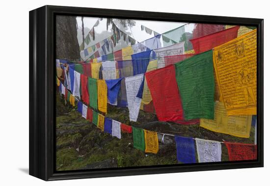 Bhutan. Prayer Flags at the Top of Dochula, a Mountain Pass-Brenda Tharp-Framed Premier Image Canvas