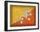 Bhutan-David Bowman-Framed Giclee Print