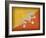 Bhutan-David Bowman-Framed Giclee Print