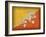 Bhutan-David Bowman-Framed Giclee Print