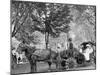 Bi-Centenary Celebration, Floral Parade, Carriage of Mrs. D.G. Swift, Detroit, Mich.-null-Mounted Photo