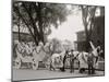 Bi-Centenary Celebration, Floral Parade, Freeman, Delameter Co. Float, Detroit, Mich.-null-Mounted Photo