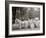 Bi-Centenary Celebration, Floral Parade, Ladies of the Maccabees, Detroit, Mich.-null-Framed Photo