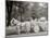 Bi-Centenary Celebration, Floral Parade, Ladies of the Maccabees, Detroit, Mich.-null-Mounted Photo