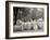 Bi-Centenary Celebration, Floral Parade, Ladies of the Maccabees, Detroit, Mich.-null-Framed Photo