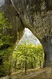 Veliki Prstavci Waterfalls Close to Gradinsko Lake, Dawn, Upper Lakes, Plitvice Lakes Np, Croatia-Biancarelli-Photographic Print