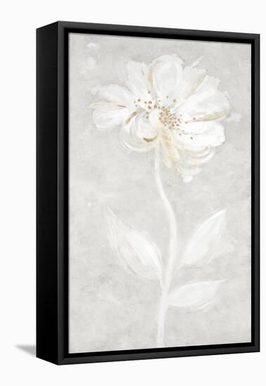 Bianco Fiore 1-Jurgen Gottschlag-Framed Stretched Canvas