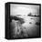 Biarritz-Nina Papiorek-Framed Premier Image Canvas