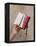 Bible and Rosary-Godong-Framed Premier Image Canvas