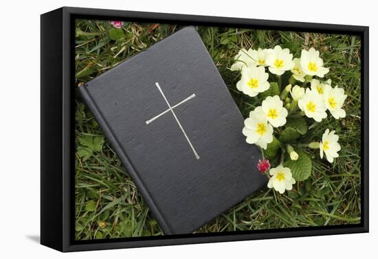 Bible on the grass with primrose at springtime-null-Framed Premier Image Canvas