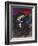 Bible: Pleurs de Jeremie-Marc Chagall-Framed Premium Edition