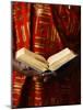 Bible Reading, Lome, Togo, West Africa, Africa-null-Mounted Photographic Print