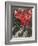 Bible: Sara et les Anges-Marc Chagall-Framed Premium Edition