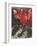 Bible: Sara et les Anges-Marc Chagall-Framed Premium Edition