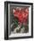 Bible: Sara et les Anges-Marc Chagall-Framed Premium Edition