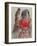 Bible: Tamar Belle-Fille de Judas-Marc Chagall-Framed Premium Edition