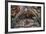 Biblical Scenes-null-Framed Giclee Print