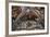 Biblical Scenes-null-Framed Giclee Print