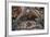 Biblical Scenes-null-Framed Giclee Print