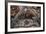 Biblical Scenes-null-Framed Giclee Print