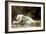 Biblis-William Adolphe Bouguereau-Framed Art Print