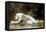 Biblis-William Adolphe Bouguereau-Framed Stretched Canvas