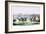 Bibury Meeting in Its Paly Days-Henry Thomas Alken-Framed Art Print