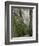 Bicaz Gorge, Moldavia, Romania, Europe-Gary Cook-Framed Photographic Print