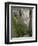 Bicaz Gorge, Moldavia, Romania, Europe-Gary Cook-Framed Photographic Print