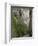 Bicaz Gorge, Moldavia, Romania, Europe-Gary Cook-Framed Photographic Print