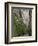 Bicaz Gorge, Moldavia, Romania, Europe-Gary Cook-Framed Photographic Print