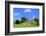 Bicentennial Capitol Mall State Park and Capitol Building-Richard Cummins-Framed Photographic Print