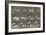 Biches, course et sauts-Eadweard Muybridge-Framed Giclee Print