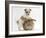 Bichon Frise Cross Yorkshire Terrier Puppy, 6 Weeks, and Sandy Rabbit-Mark Taylor-Framed Photographic Print