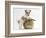 Bichon Frise Cross Yorkshire Terrier Puppy, 6 Weeks, and Sandy Rabbit-Mark Taylor-Framed Photographic Print