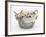 Bichon Frise Cross Yorkshire Terrier Pups, 6 Weeks, Asleep in a Basket-Mark Taylor-Framed Photographic Print