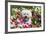 Bichon Frise Sitting in Flowers-Zandria Muench Beraldo-Framed Photographic Print