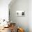 Bichon Havanais, Bichon Frise-null-Mounted Photographic Print displayed on a wall