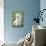 Bichon Maltiase Sitting Upright-null-Photographic Print displayed on a wall