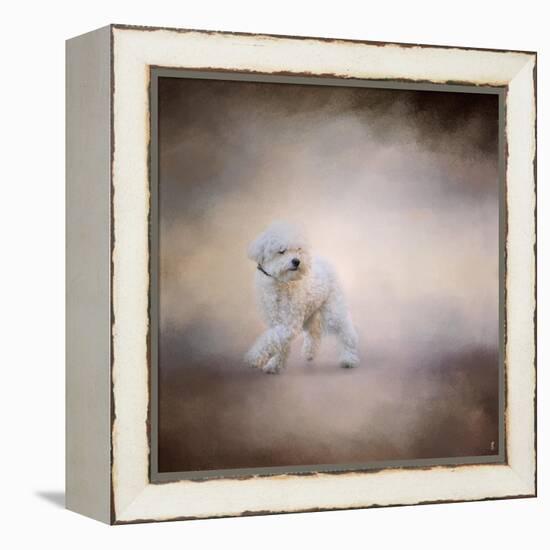 Bichon on the Go-Jai Johnson-Framed Premier Image Canvas