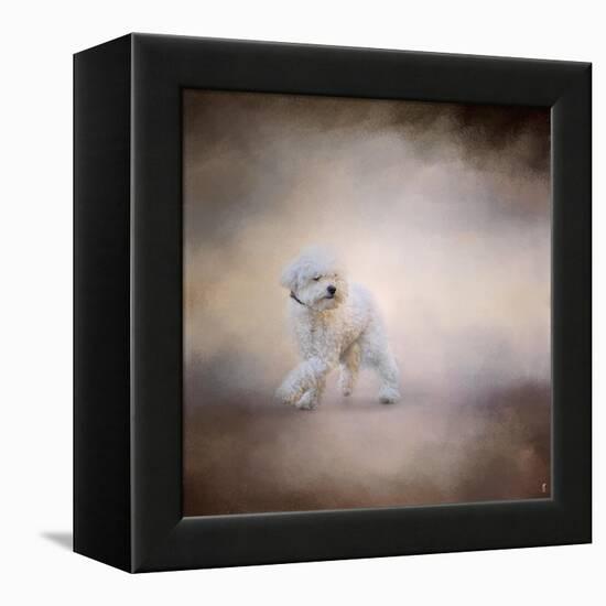 Bichon on the Go-Jai Johnson-Framed Premier Image Canvas