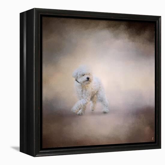 Bichon on the Go-Jai Johnson-Framed Premier Image Canvas