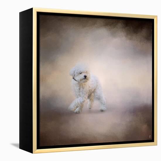 Bichon on the Go-Jai Johnson-Framed Premier Image Canvas