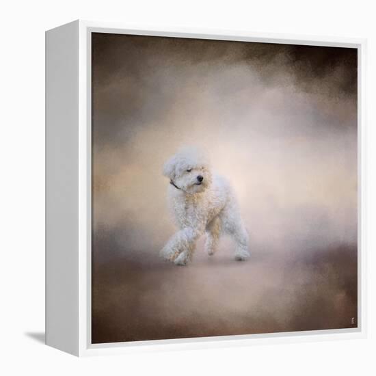 Bichon on the Go-Jai Johnson-Framed Premier Image Canvas